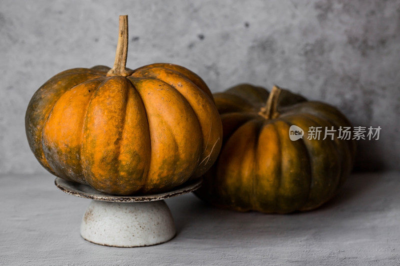 季节性秋季食品。新鲜的南瓜放在一个时尚的陶瓷盘子上，灰色的混凝土背景。瓜类丰收。