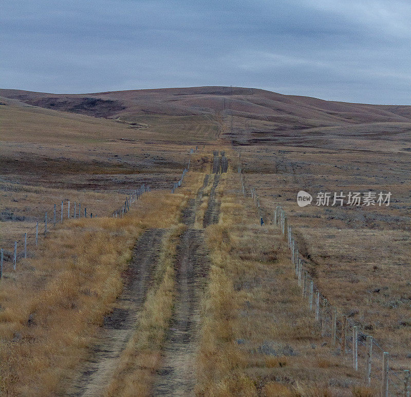 在阿尔伯塔省南部，一条单车道的道路被磨成了一片残茬田