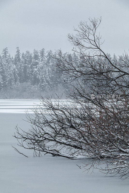 海狸湖地区公园的雪景