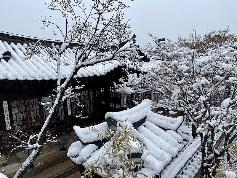 韩国首尔下雪天