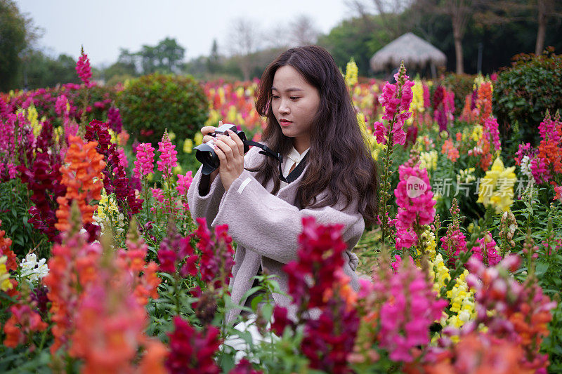 女游客在给花拍照