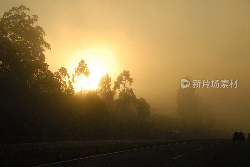 道路附近被烧毁