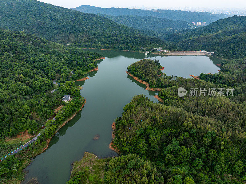 翠绿的竹林和蜿蜒的山路一览无余