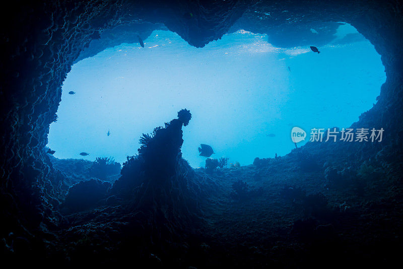 神秘之光在浅水下隧道，Triton湾，印度尼西亚