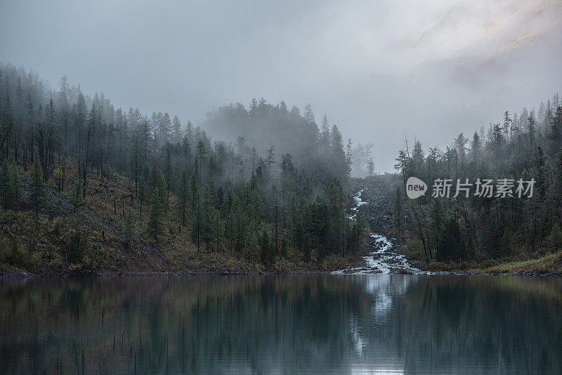 山溪在神秘的雾中从森林山丘流入冰川湖。清晨平静的高山湖泊，映衬着小河和针叶树。幽静的雾霭，山中有湖。