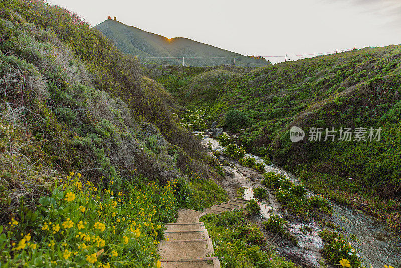 大苏尔海岸马蹄莲花谷的风景