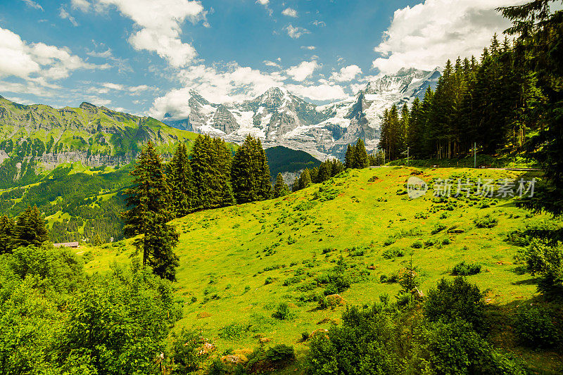 山的风景。Lauterbrunnen。瑞士。伯尔尼州。穆伦村庄。夏天。绿草