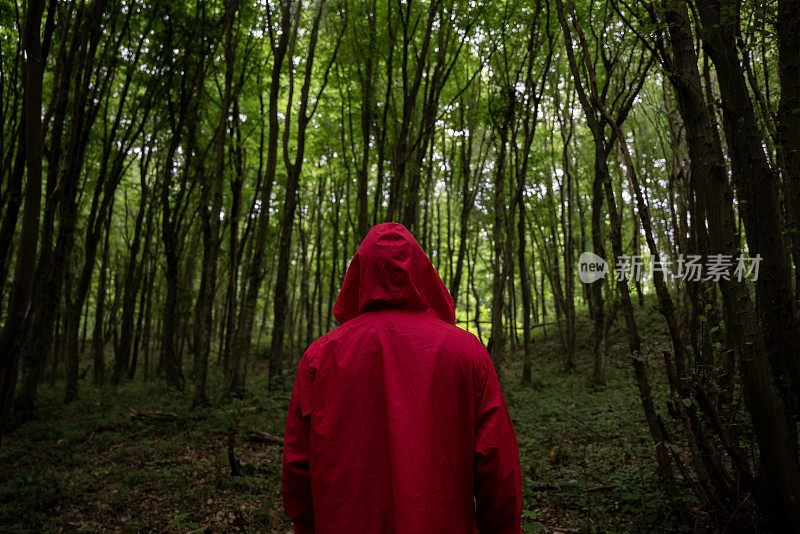 一个穿着红色连帽雨衣的男人独自在森林里