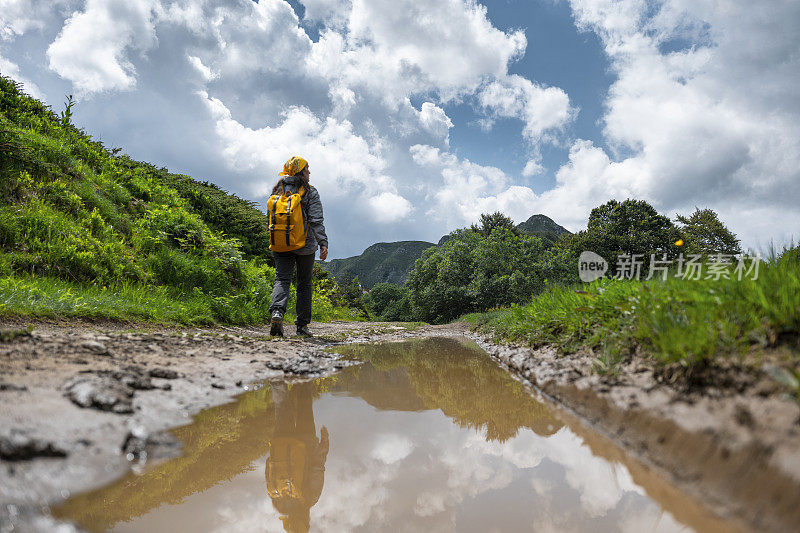 在一个阳光明媚的日子里在树林里徒步旅行的女游客。