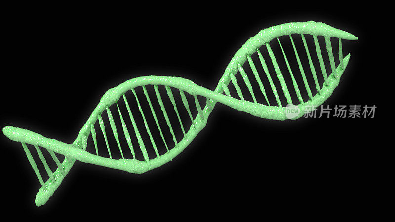 明亮的双螺旋人类DNA结构。DNA链，DNA分子，矢量图