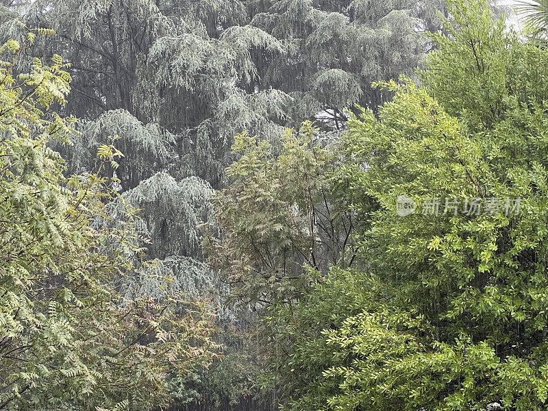 在下雨的一天