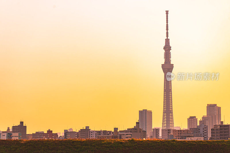 东京天空树的剪影和日落中的东京城市景观