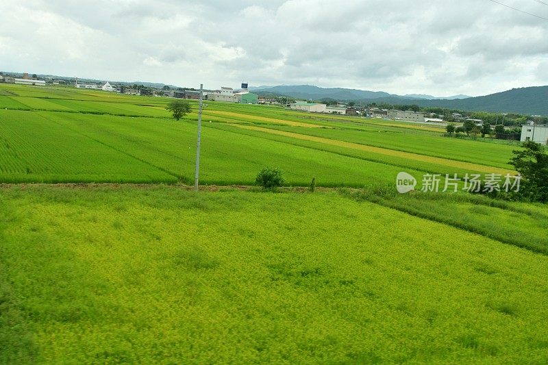 日本乡村景观:从东海道新干线高速列车上观看