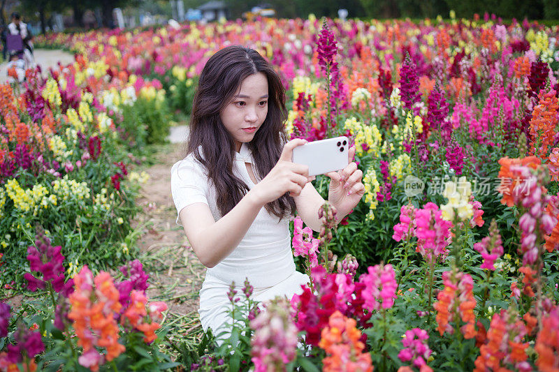 一个亚洲女人在给花拍照