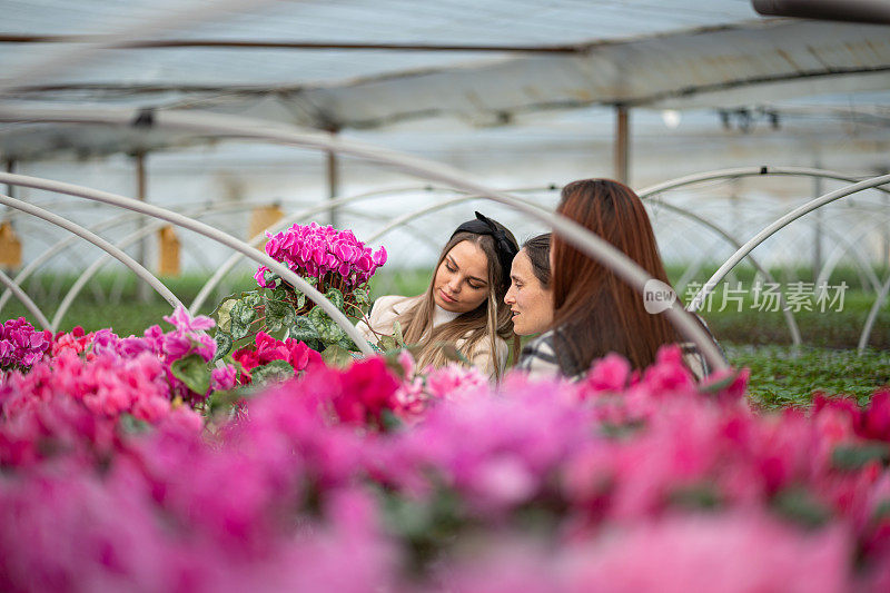 妇女们在花园中心为复活节买花。