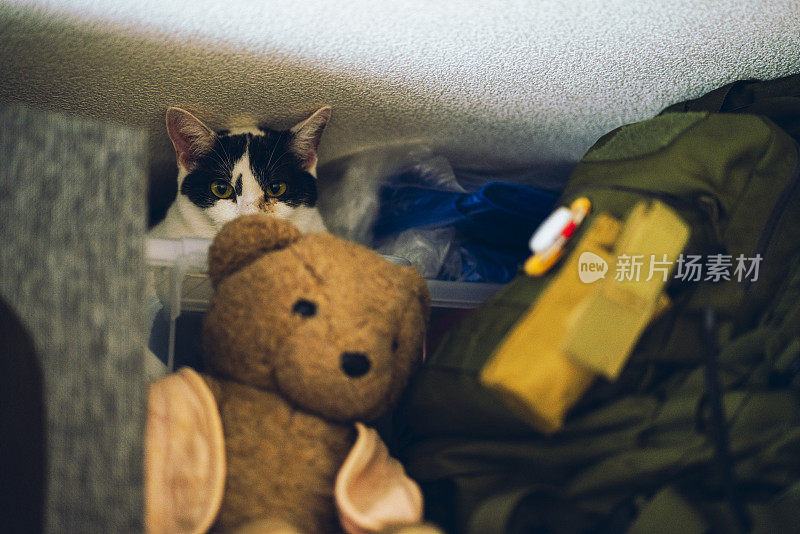 躲猫猫。