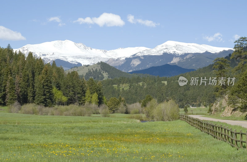 埃文斯山和春草地