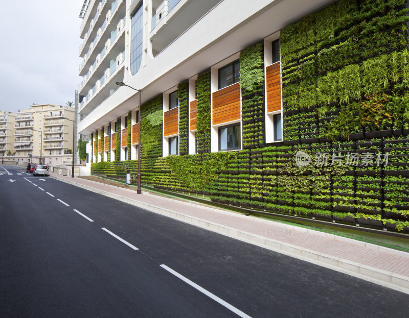 垂直花园办公室墙城市环境建筑