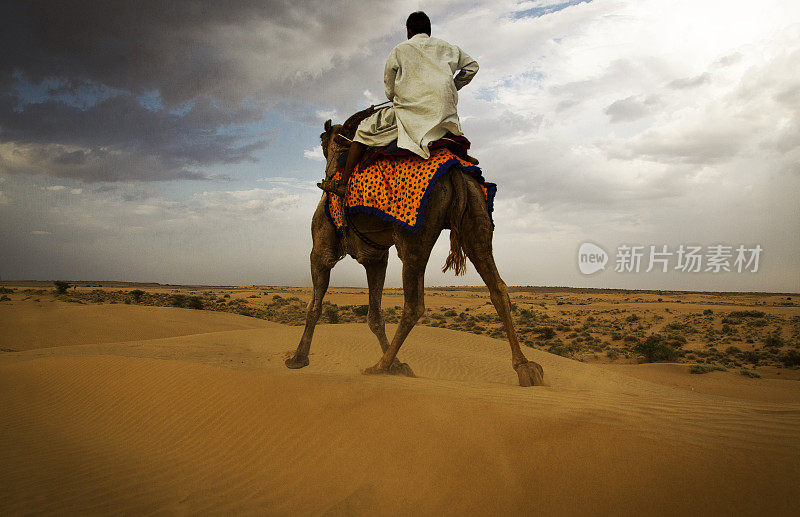 印度Jaisalmer沙漠的骆驼骑士