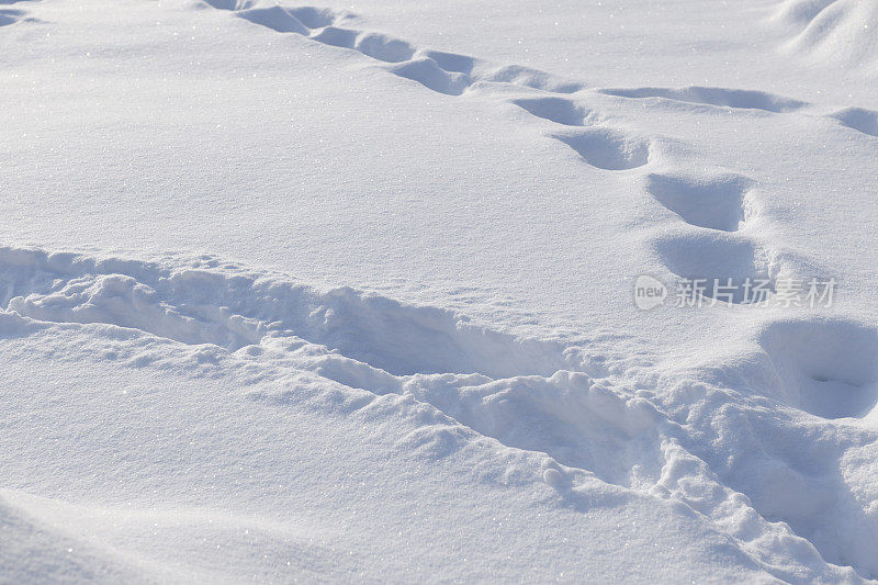 雪道背景(3:2格式)