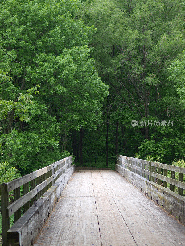 木桥通向黑暗的树林