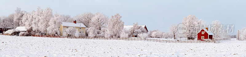 瑞典冬天全景