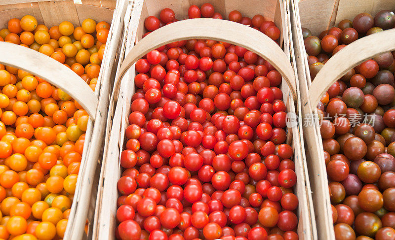 樱桃番茄品种