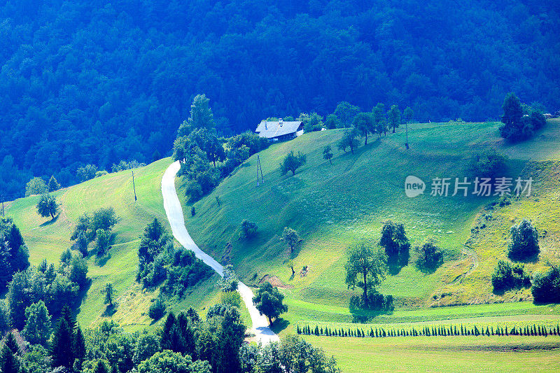 绿树成荫的乡间小屋