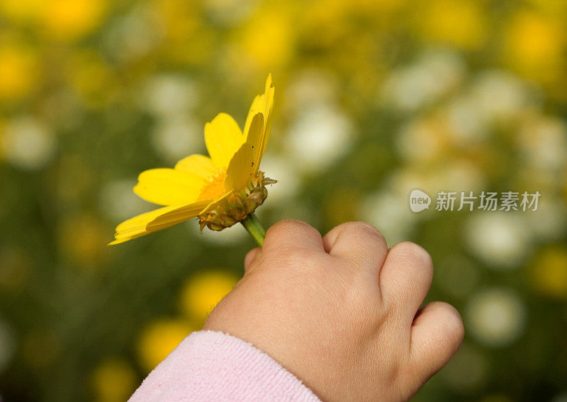 小女孩手里拿着一朵花