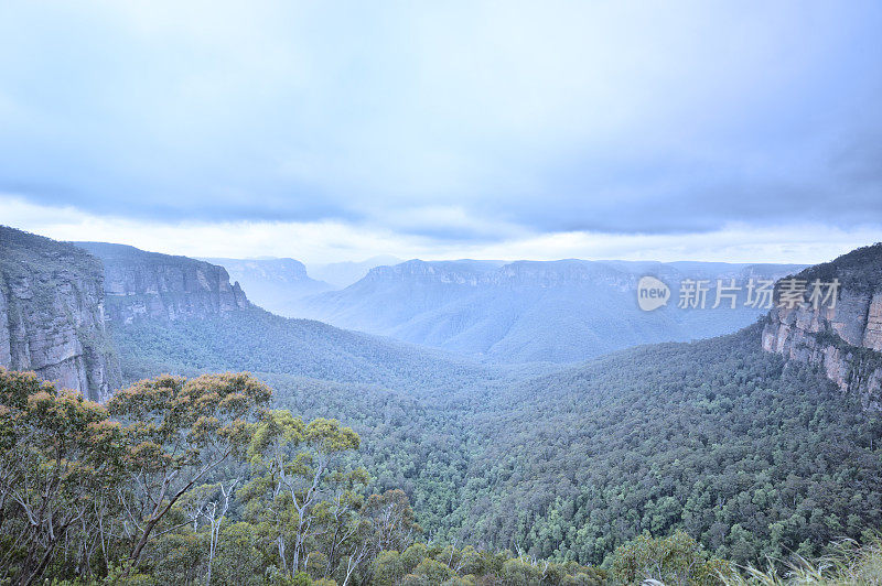 雨中的蓝山