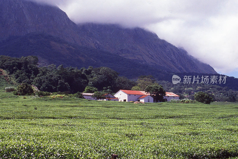 从非洲马拉维南部的穆兰杰山森林保护区的茶园看，穆兰杰山脉是一个主要的岩基