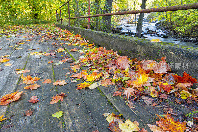 木桥横跨小溪在秋天
