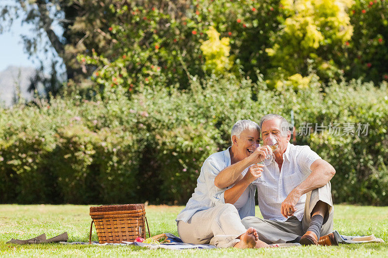 相爱的退休夫妇一起喝白葡萄酒