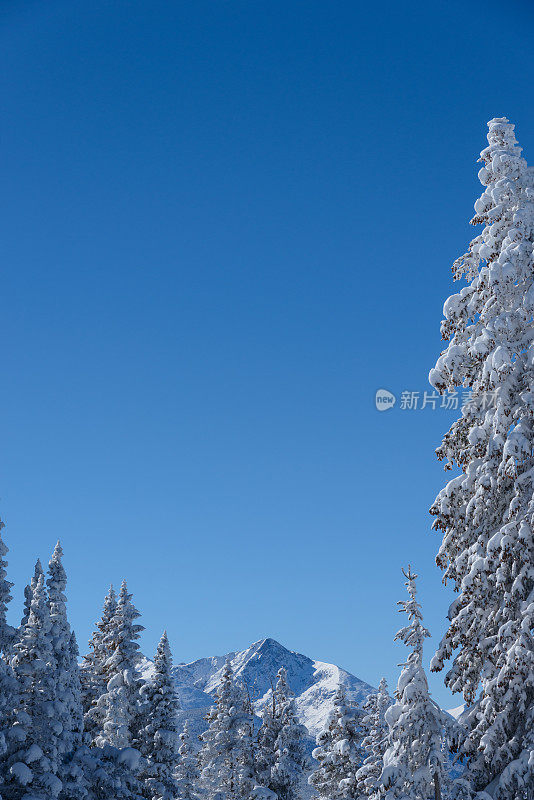 冬季景观圣十字山山