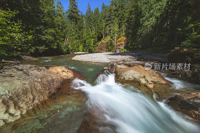 阳光明媚的自然场景