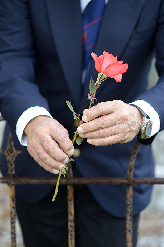 老人抱着玫瑰在墓地正面观看