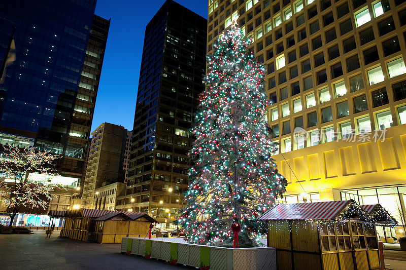 芝加哥戴利广场的圣诞树