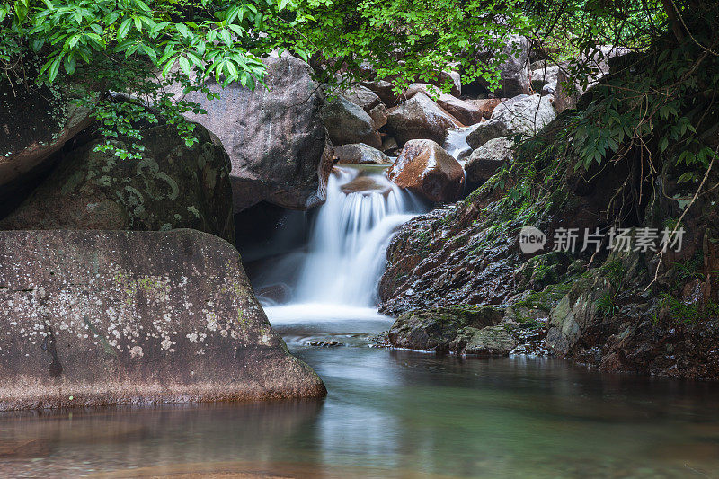 丛林中的小溪