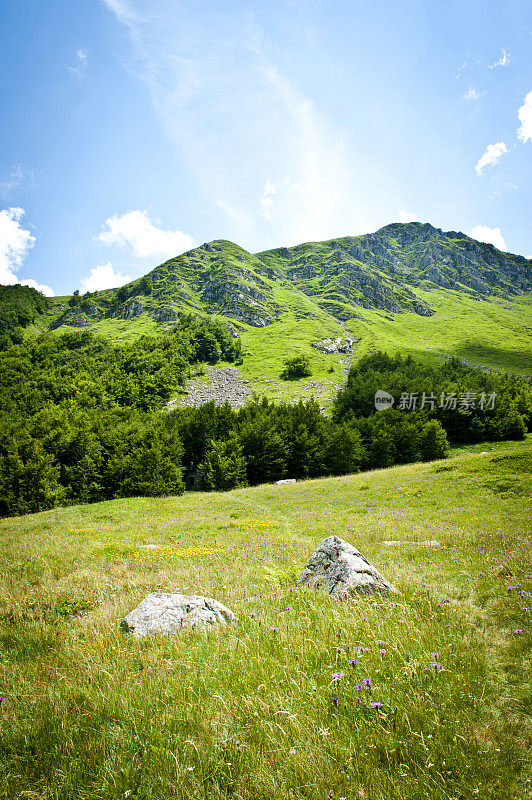 美丽的山景步道，田园风光