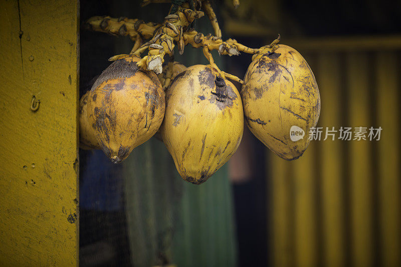 街头市场的摊位上出售的椰子
