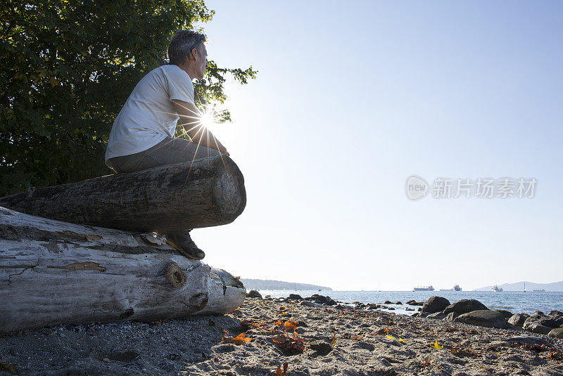 男子在海滩上方的原木上放松，沉思着