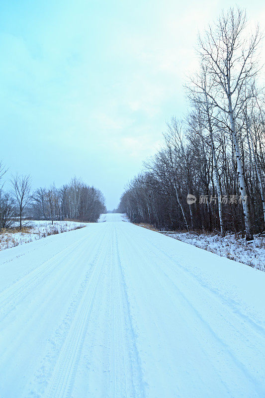 白雪覆盖的乡村路