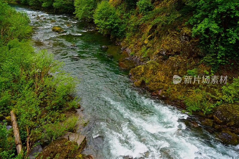 威拉米特河河峡谷