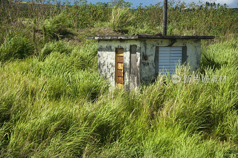 圣基茨甘蔗地里的小屋