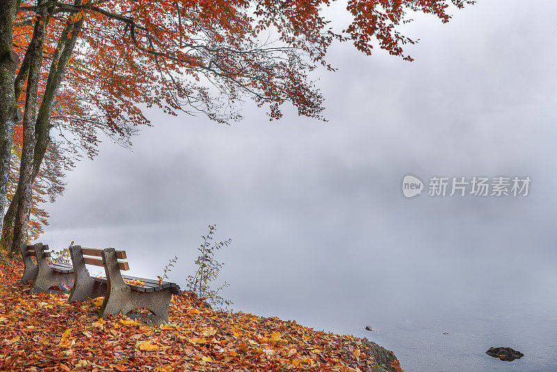 在雾气蒙蒙的湖岸长椅上，装饰着秋天
