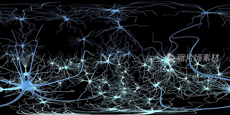 EP360神经元细胞网络VR