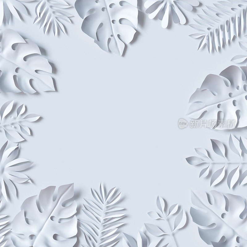 3d渲染，热带树叶，丛林墙纸，方形框架，白色背景