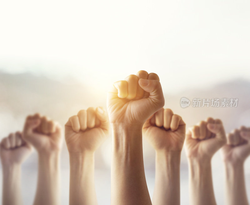 人们举起拳头，在阳光效应、劳工运动、选举运动中争取自己的权利。