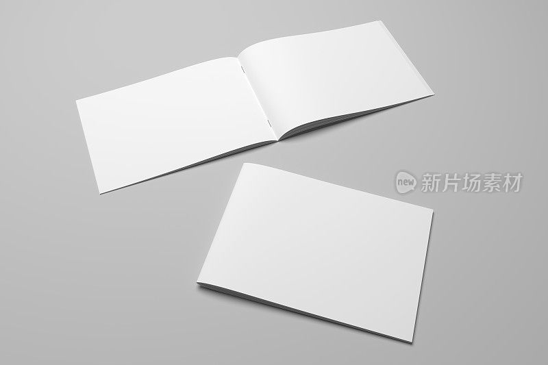 空白3D渲染手册杂志在灰色与剪切路径第5号