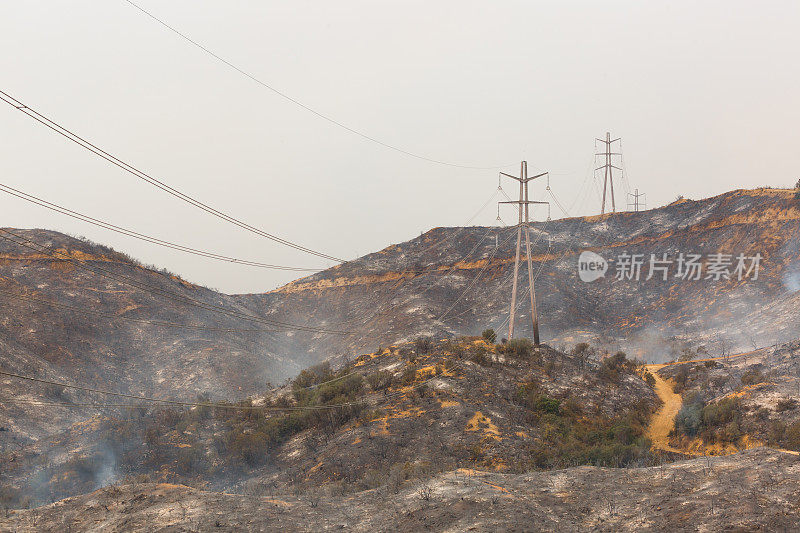 加州洛杉矶的金枪鱼大火烧毁了一座建筑